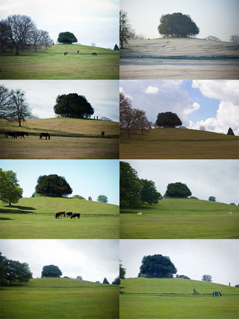 Eightmonthsofthehillweb Eightmonthsofthehillweb