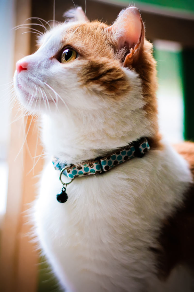 Hugogorgeous Hugogorgeous