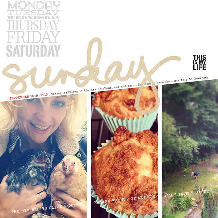 SundayLweb SundayLweb
