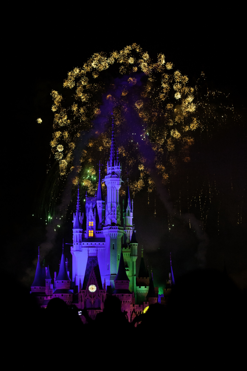Disneycastle Disneycastle