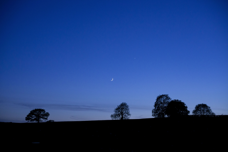 Goodnightmoon