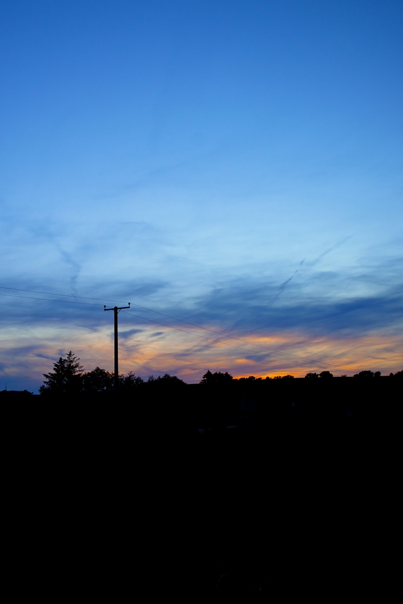 Telegraph pole sunset