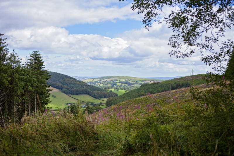 Toppathview