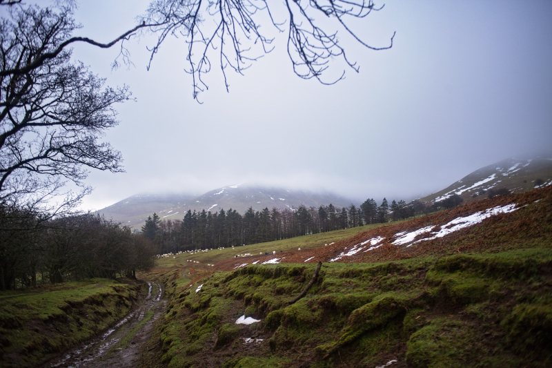 Blackmountainshike