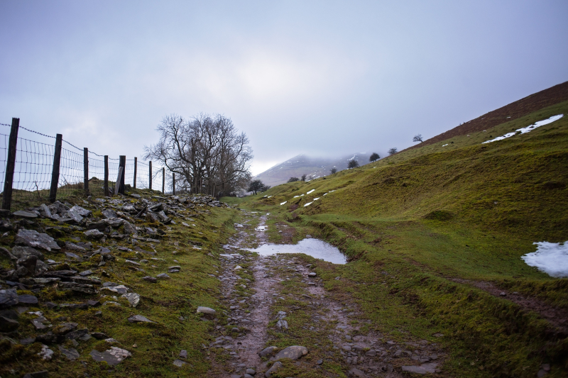 Blackmountainshike