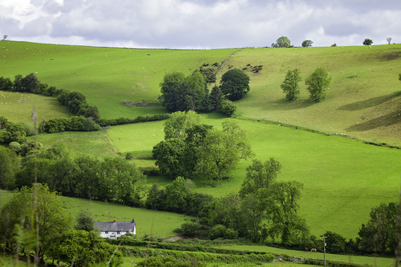 Oakhillside